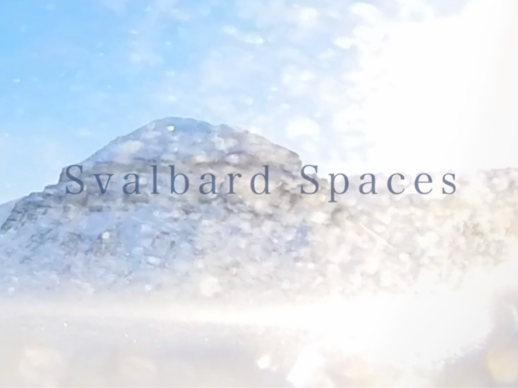Svalbard Spaces